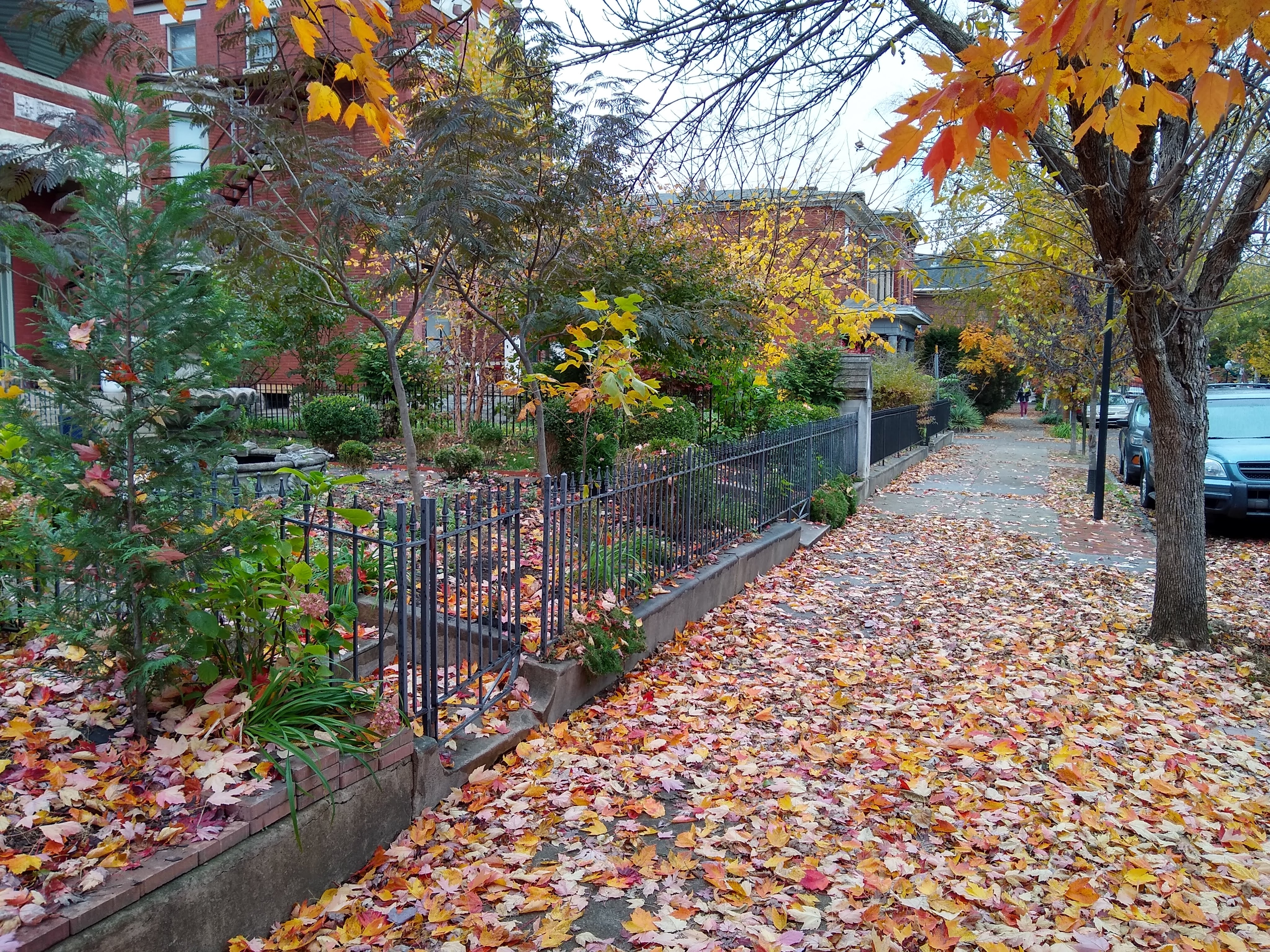 A street in Old Louisville, showing the sidewalk covered with leaves of many colors